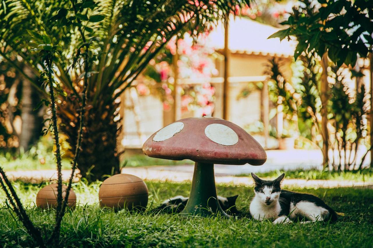 ホテル プサダ ボア ヴィスタ バヘイリーニャス エクステリア 写真